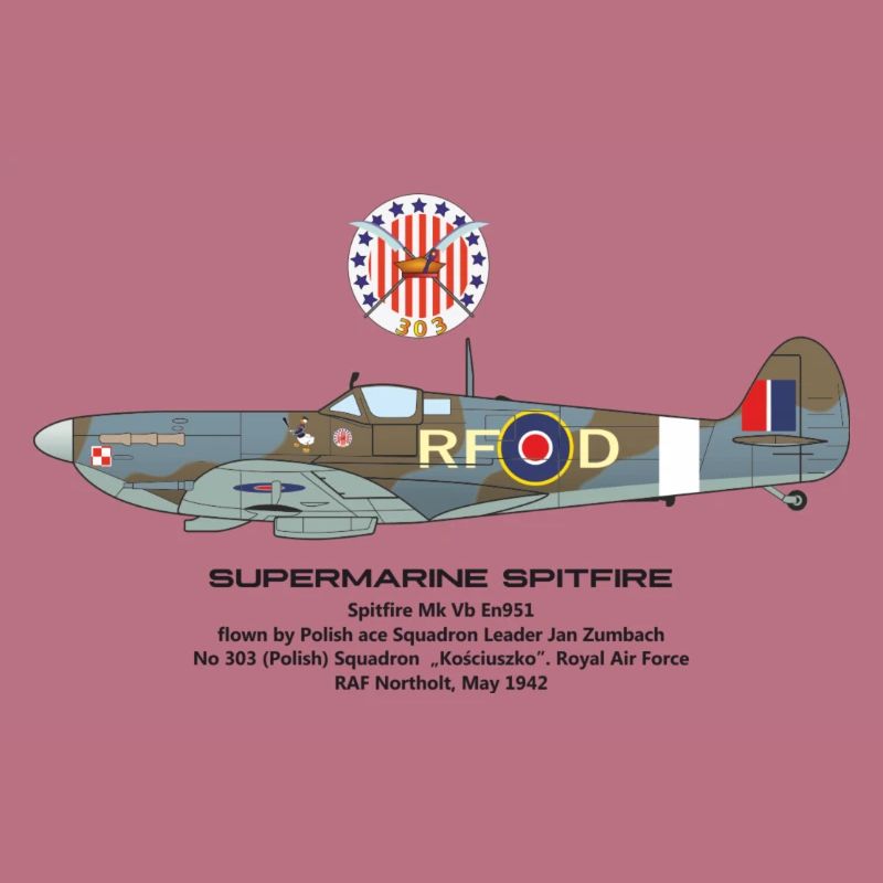 Squadron 303 Spitfire Jan Zumbach