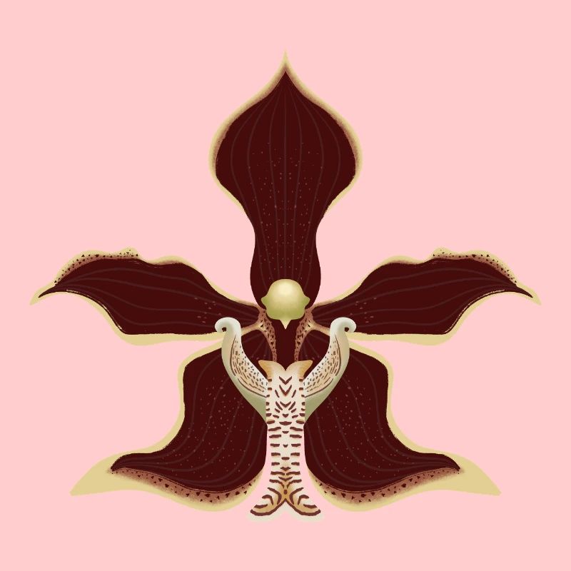 Orchideenblüte