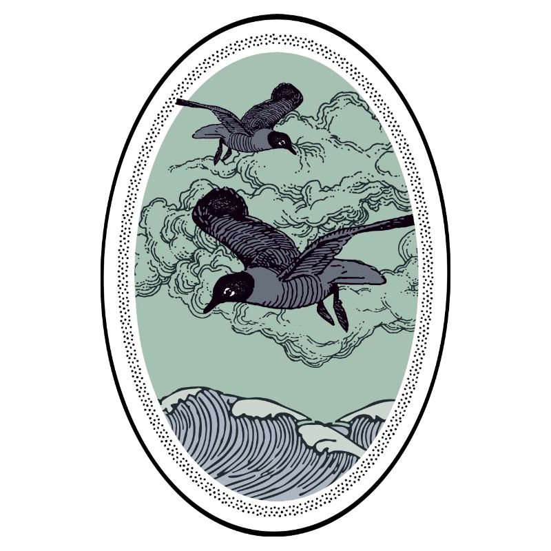 Seabirds