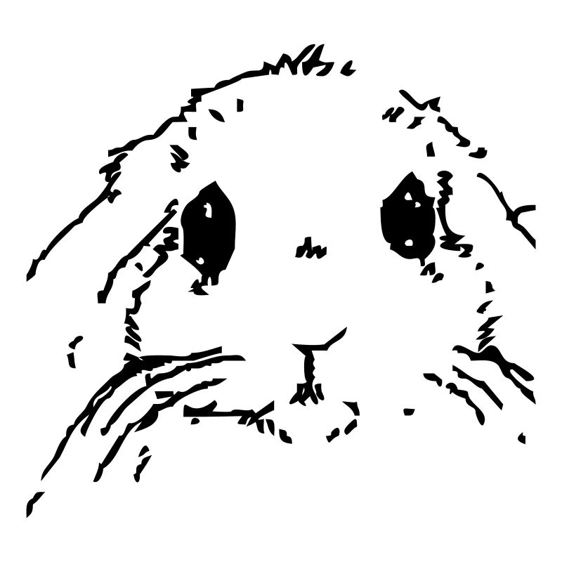 Lapin