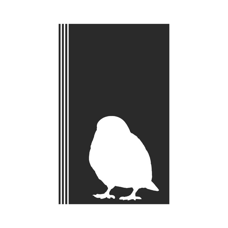 Perruche, Ailes, Oiseau