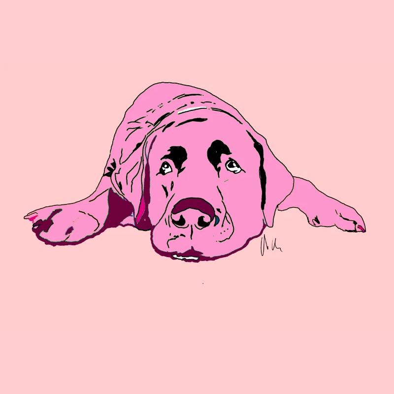 Labrador