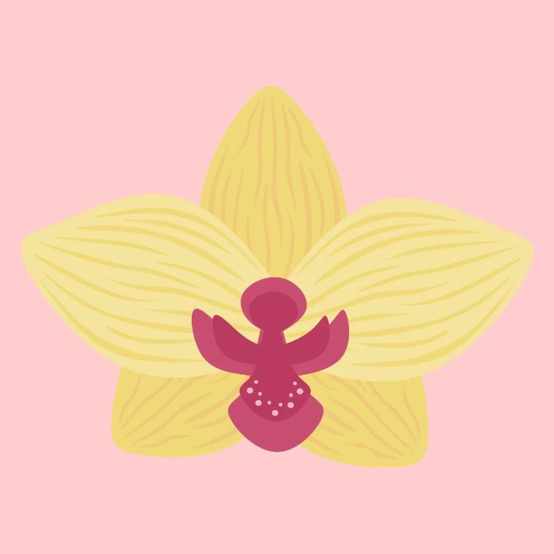Orchidée jaune