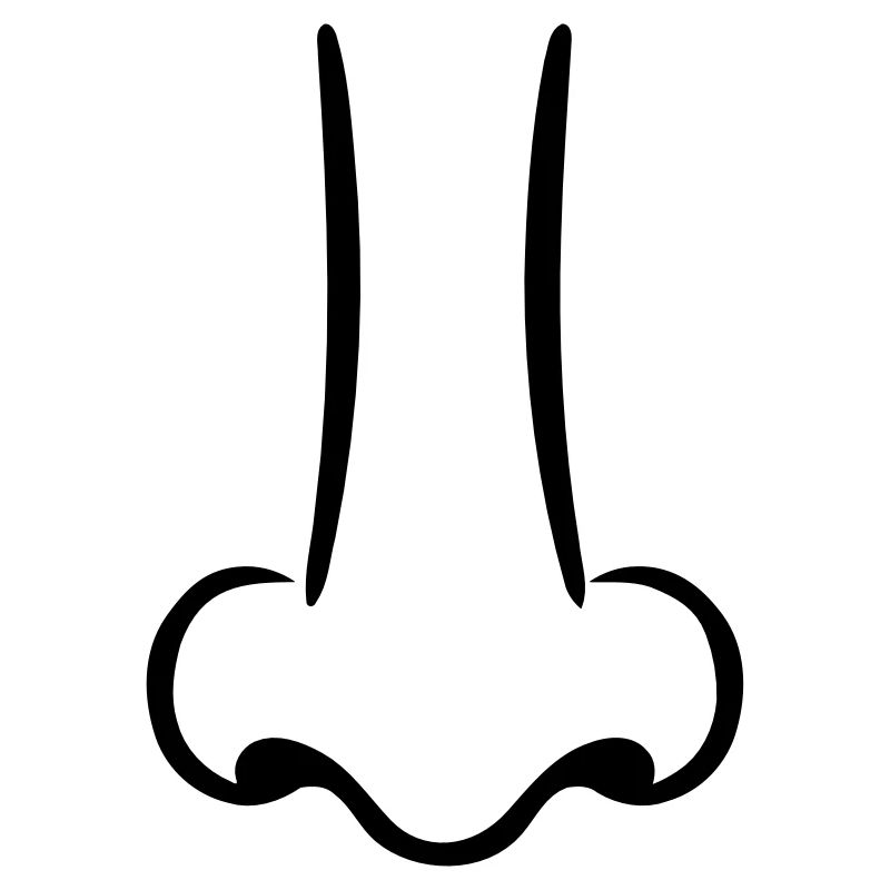 Nez