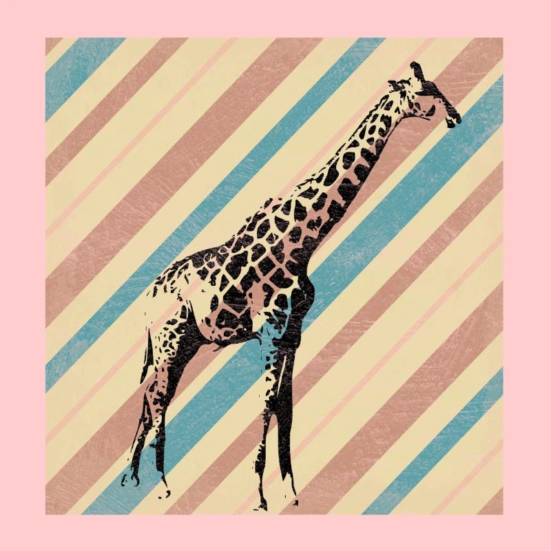 safari