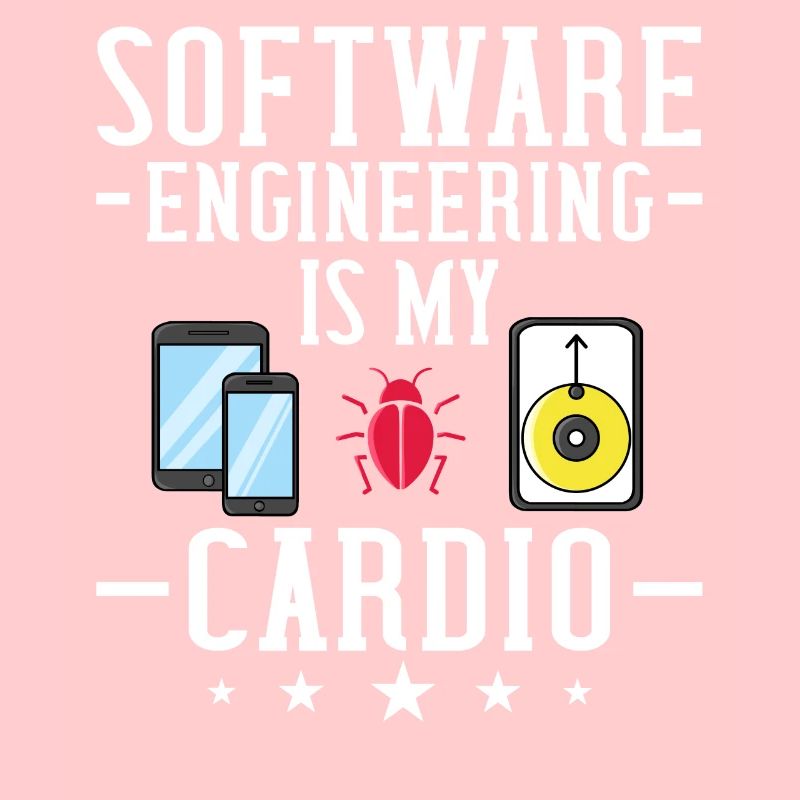 Software Engineering Softwaretechnik Ingenieur