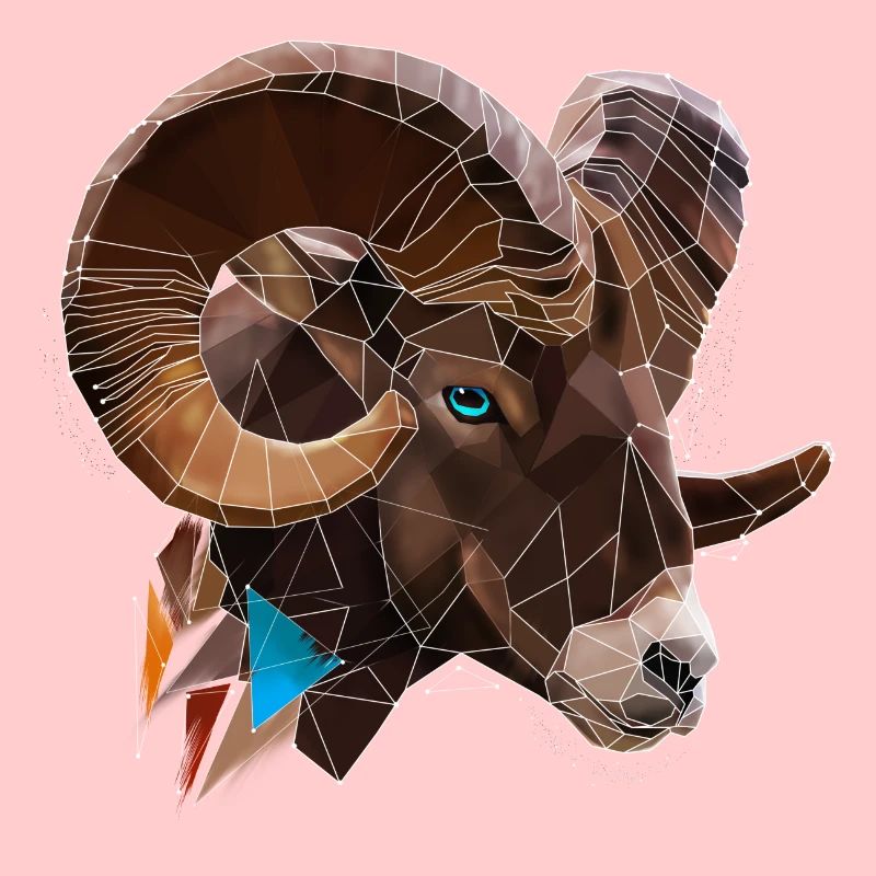 Cool Low Poly Aries | Zodiac sign | triangle