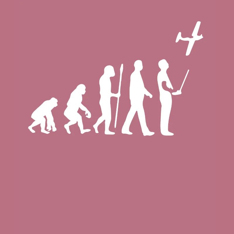 Model Flight Evolution