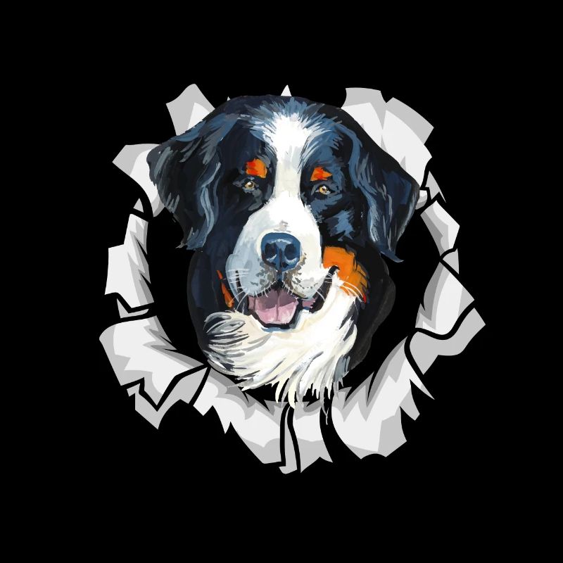 Berner Sennenhund