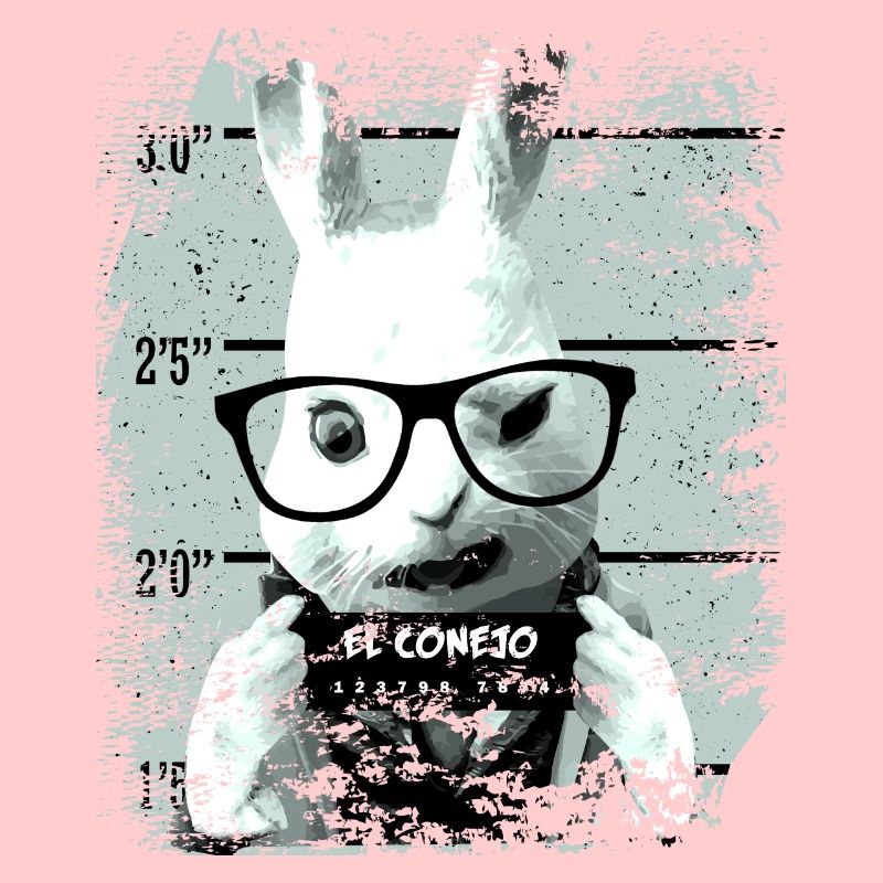 Prison rabbit funny
