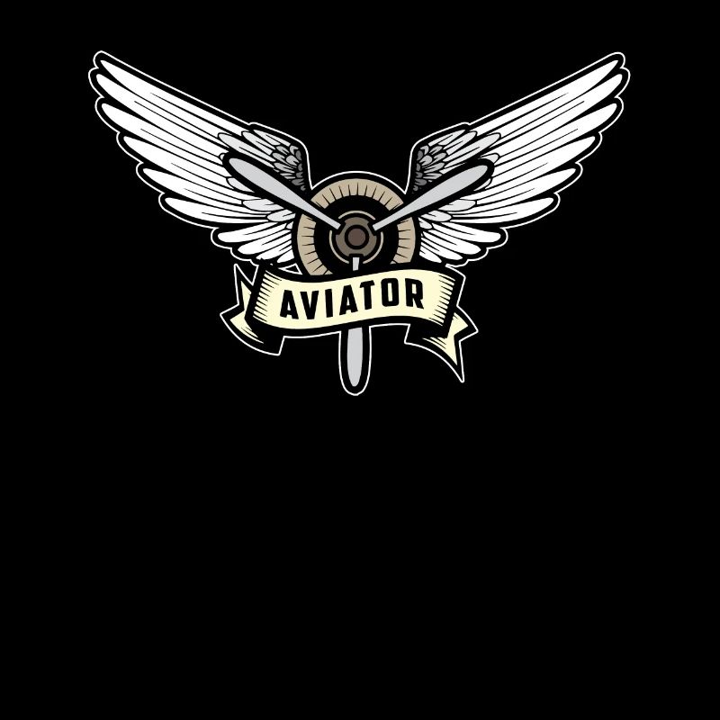 Pilot aviator