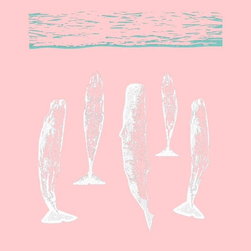 spermwhale plain white