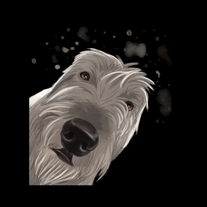 Neugieriger Irischer Wolfshund Hund