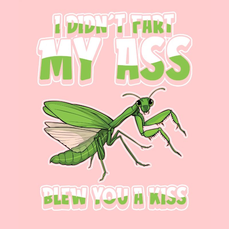 Mantis Praying Mantis Humor
