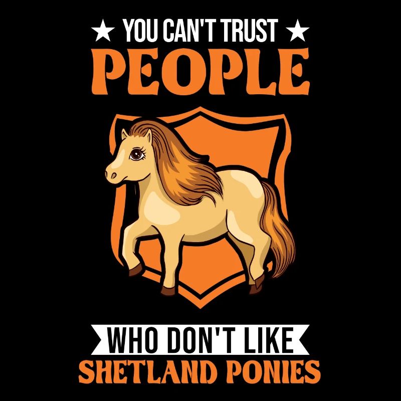 Shetland Pony Geschenk Shetty