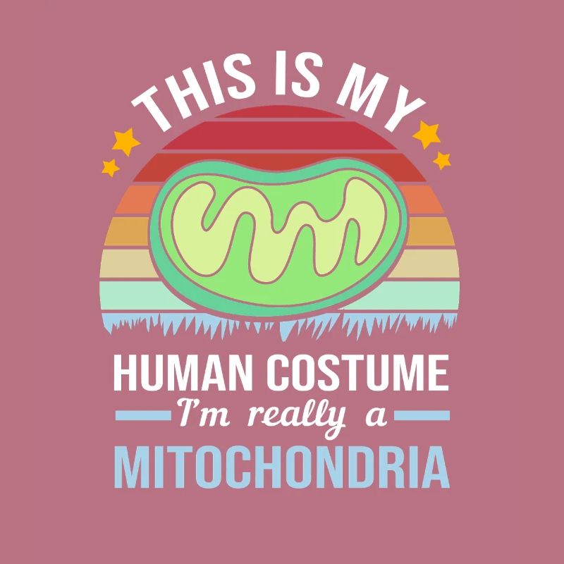 Molecule Structural Formula