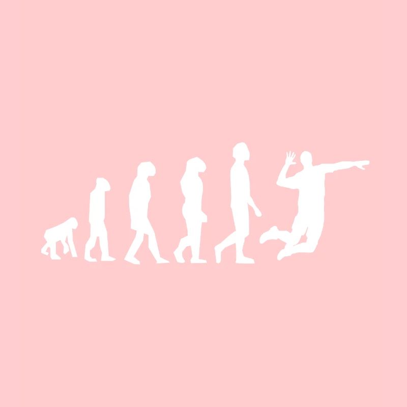 evolution volley