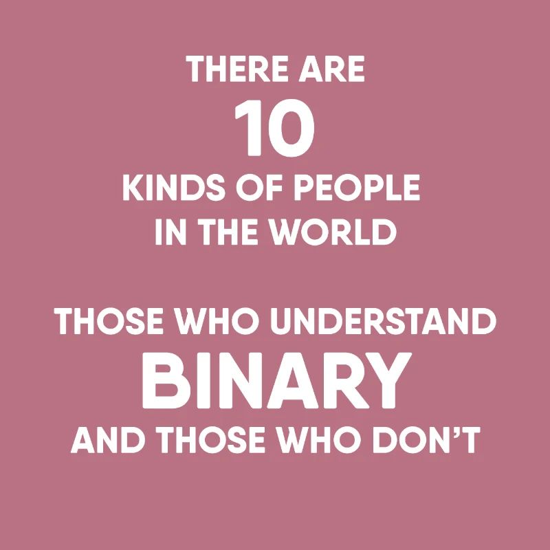 Programmer - Binary system