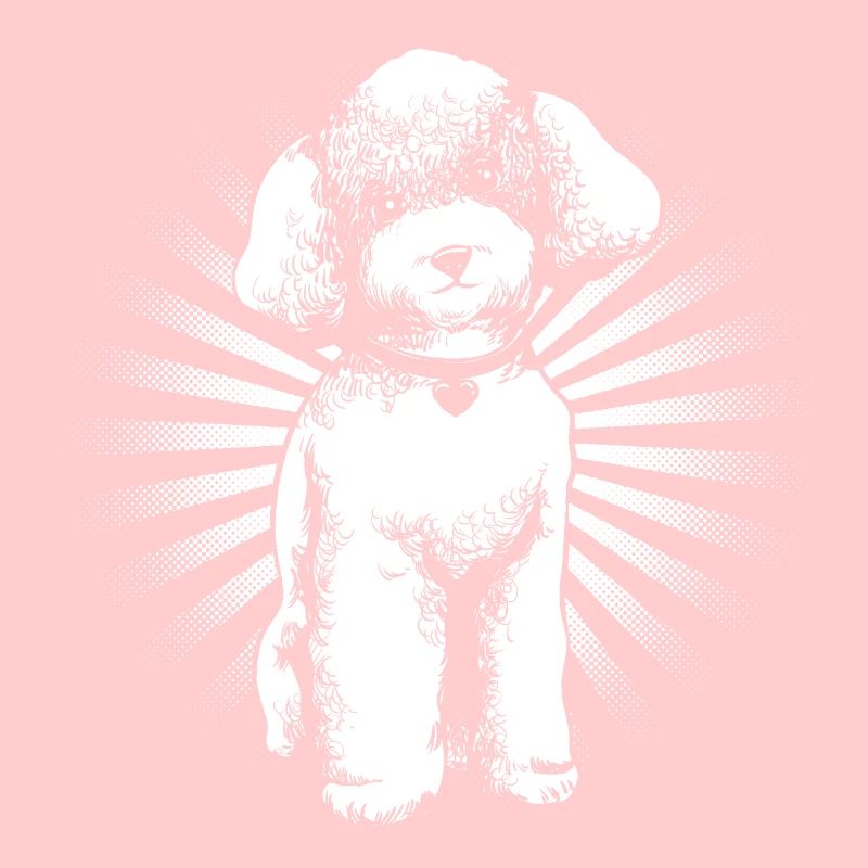 Poodle