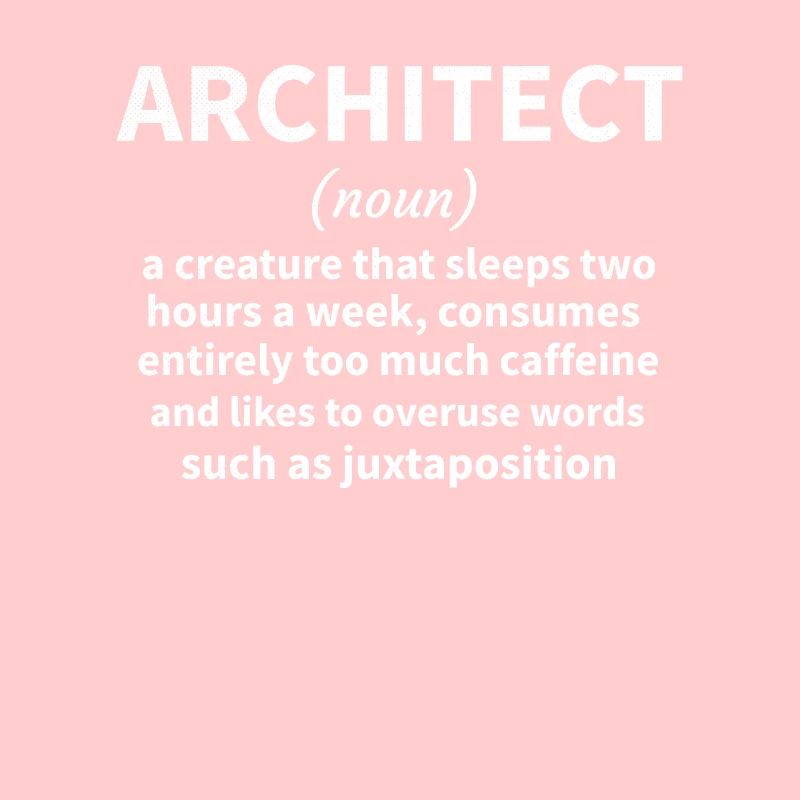 Architecture Gift Architecture Student Architect