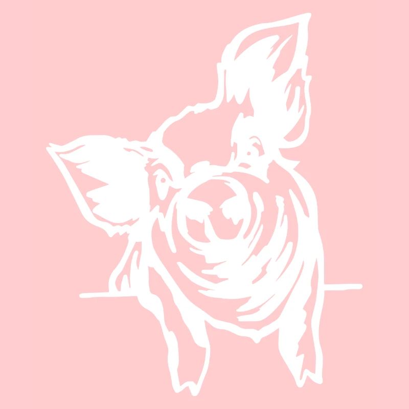 Schwein