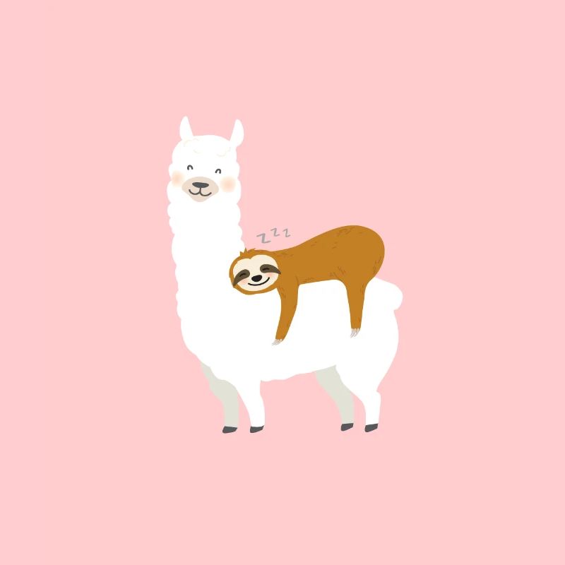 Alpaca with sloth