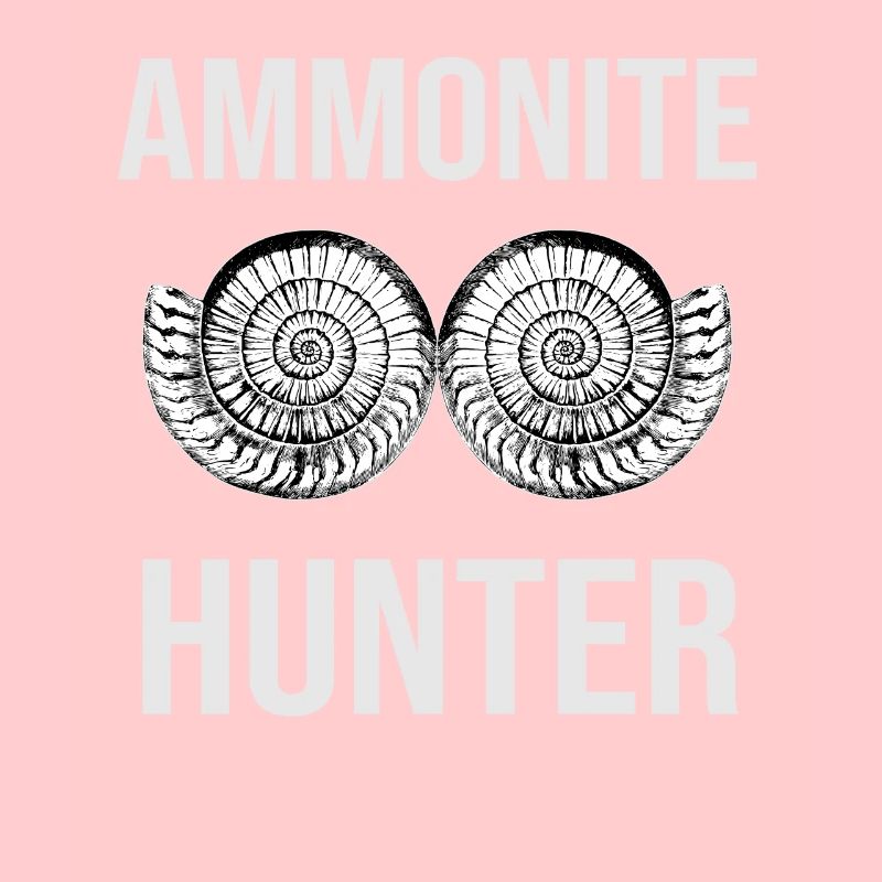Ammonite Hunter Fossil