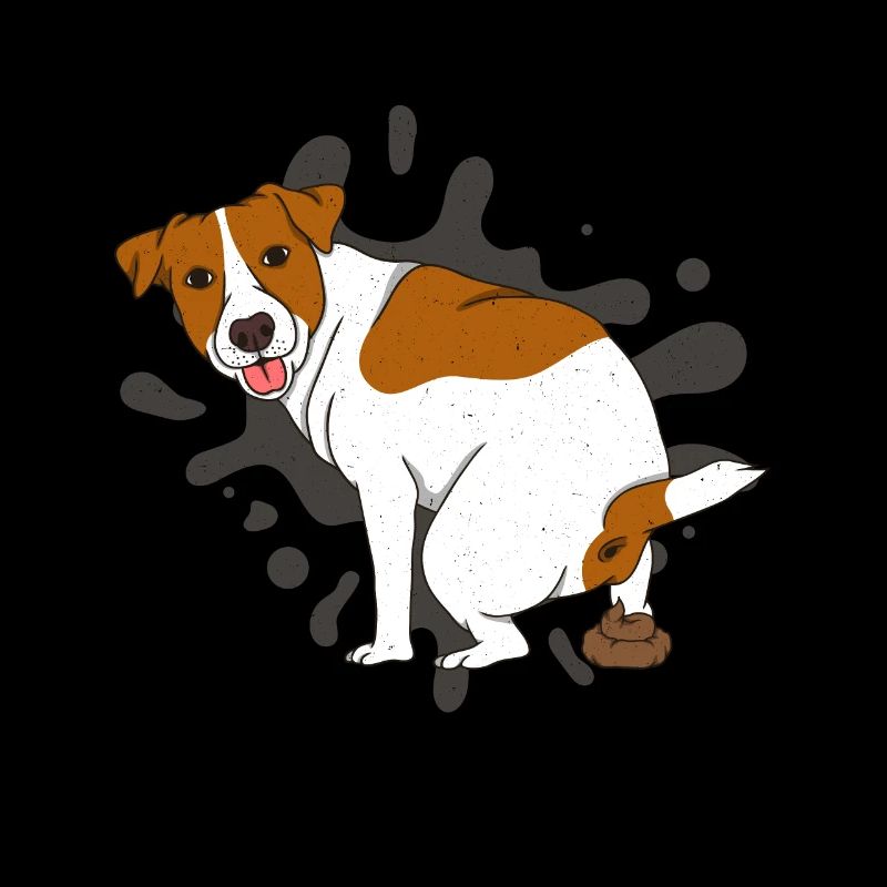 JACK RUSSELL TERRIER caca pile de caca