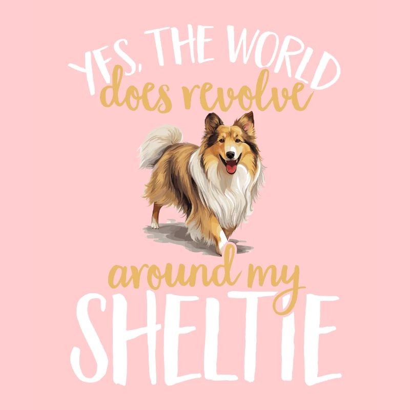 Shetland Chien de berger Sheltie