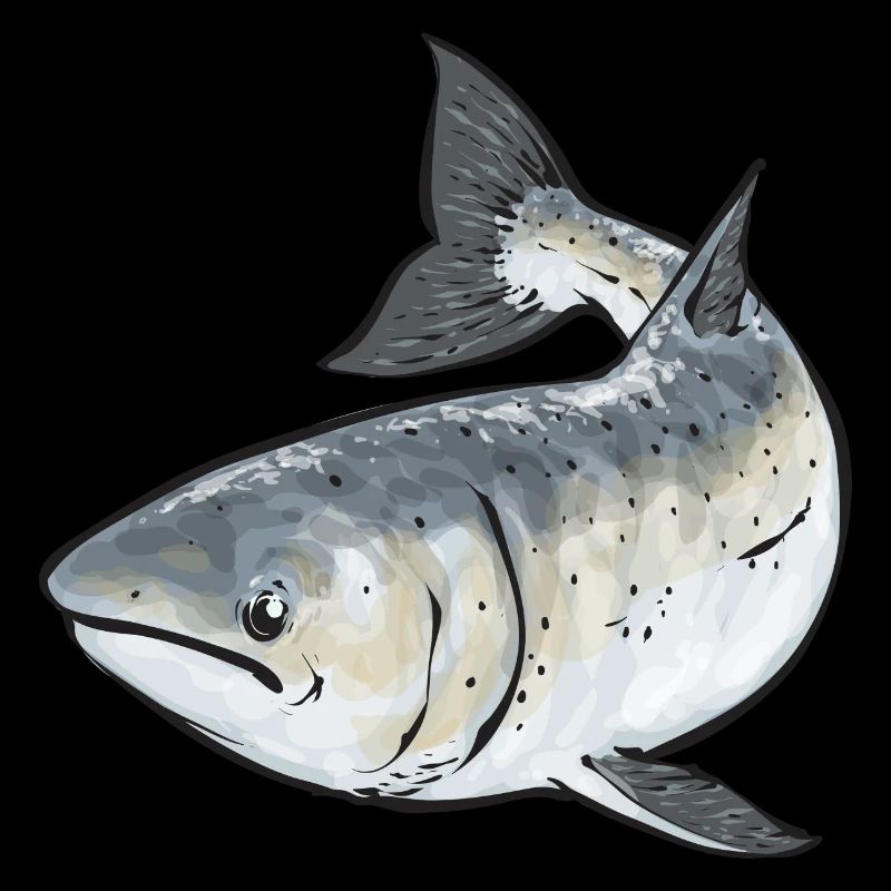 Pêche au saumon Pêcheur de saumon