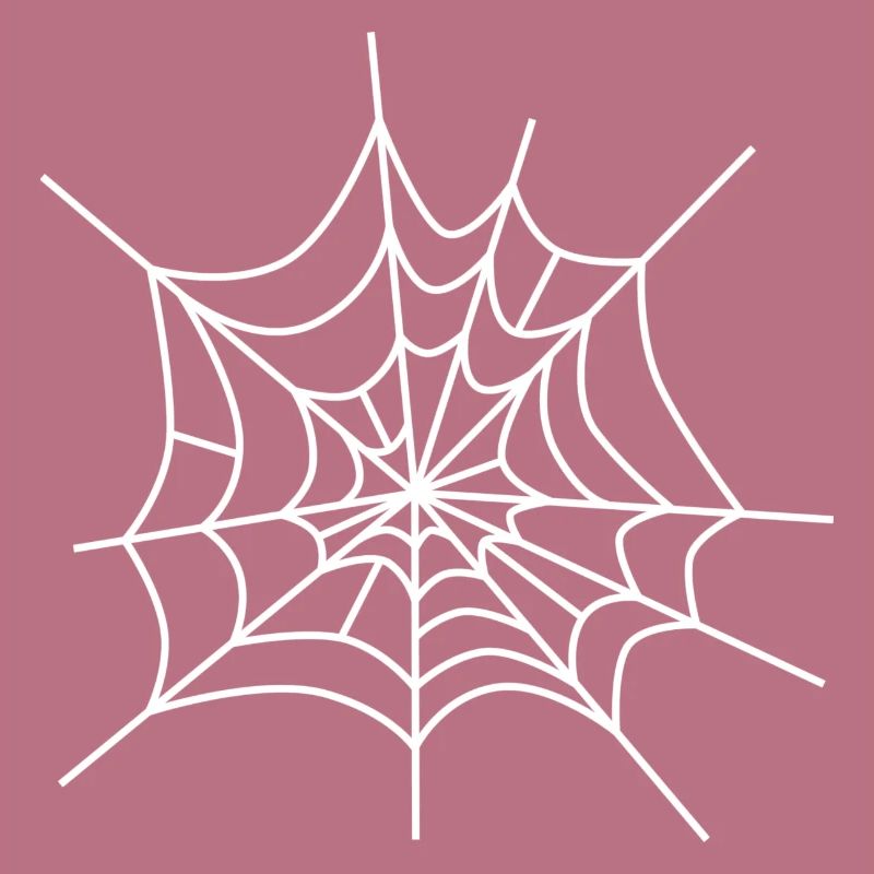Cobweb spiderweb icon spiderweb icon
