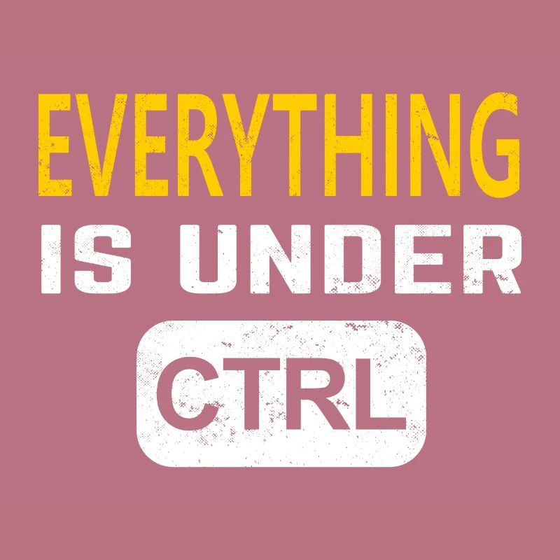 Programmer software developer