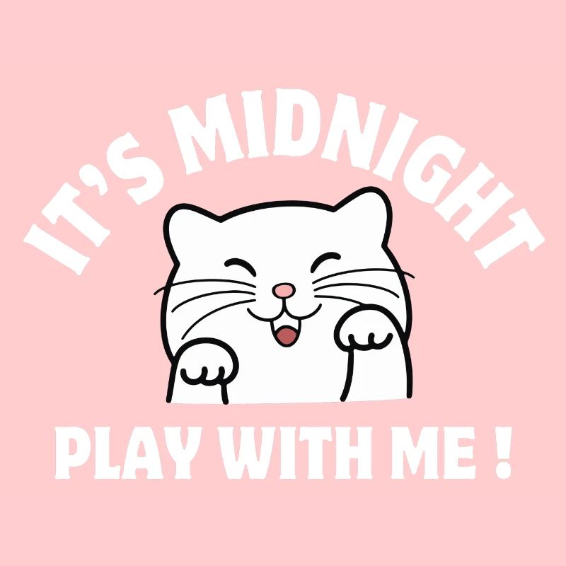 minuit, chat, chat humour