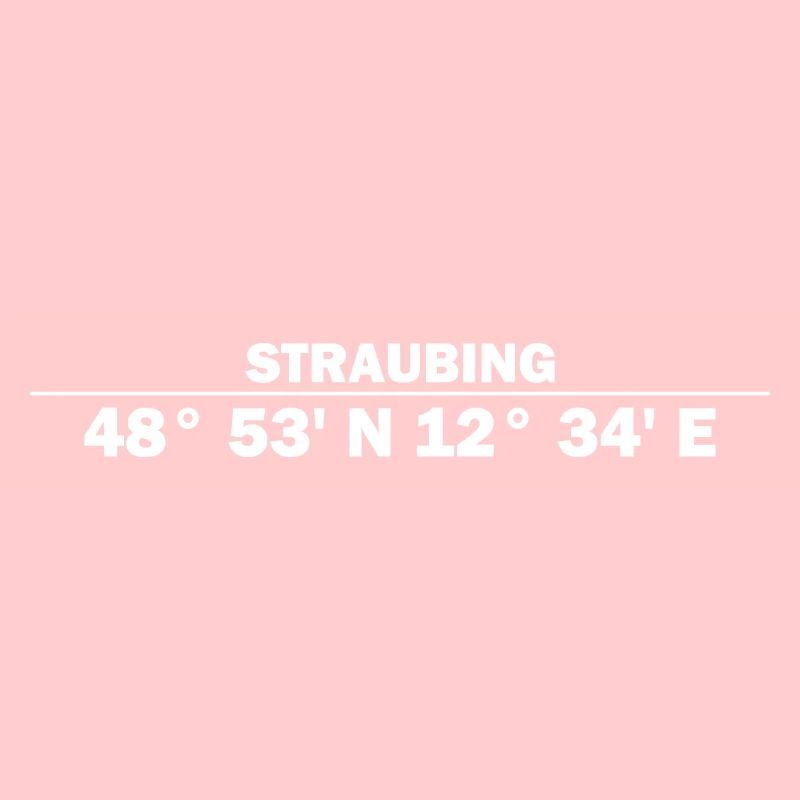 Straubing Koordinaten
