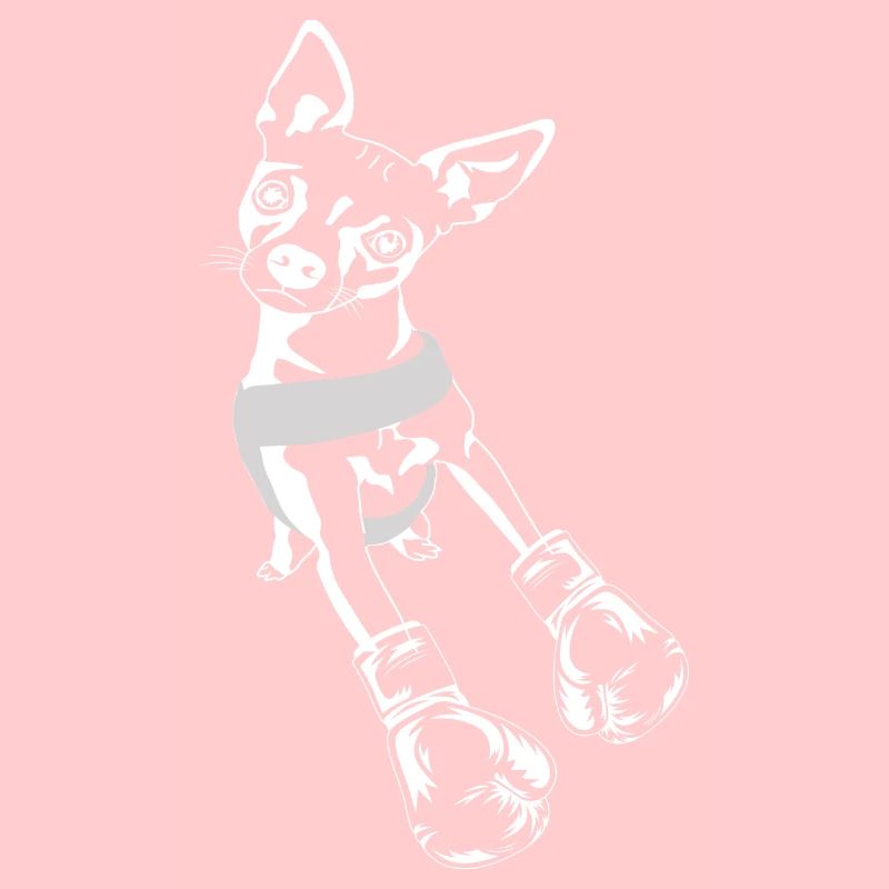 Boxer Chihuahua chien à la recherche d’un sparring partner