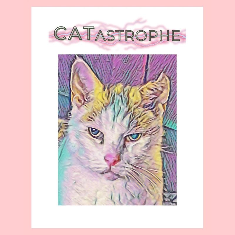 Catastrophe, Katze