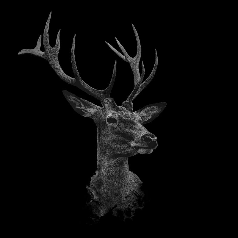 Hirschkopf mit Geweih