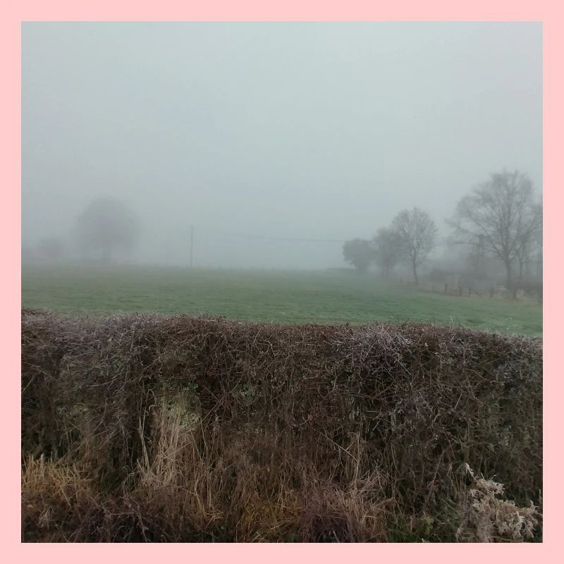 Nebel