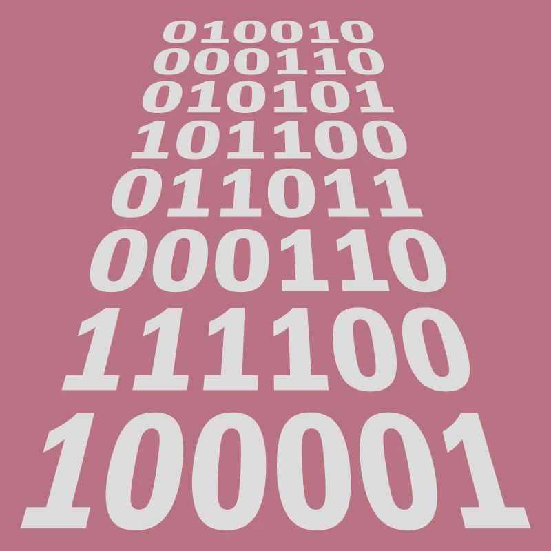 Binary Code Program Language