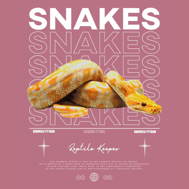 Burmese Python Modern Streetwear Reptile Keeper