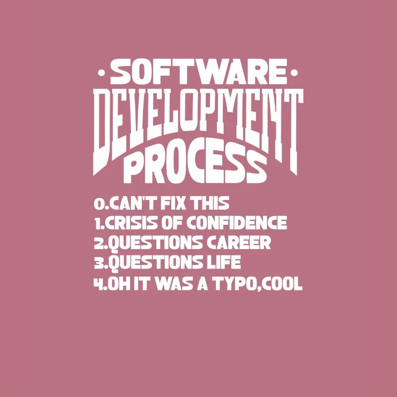 Softwareentwickler Programmierer Software