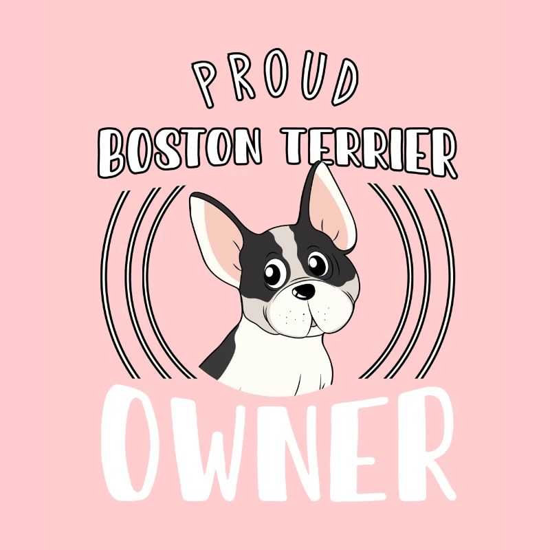 Boston Terrier, Boston Terrier Boston Terriers