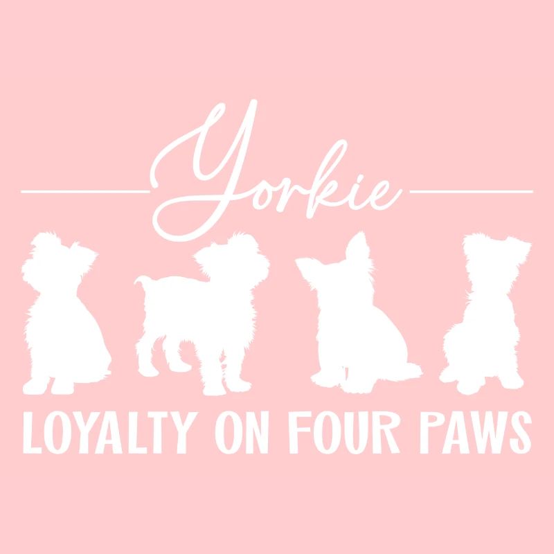 Yorkshire Terrier fidelity on four paws.