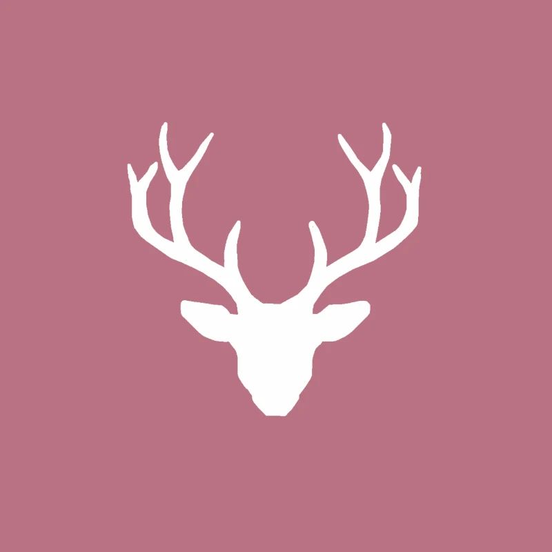 Deer antlers white