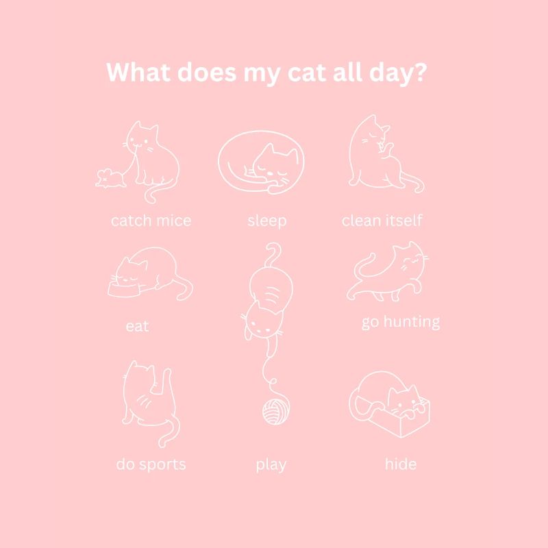 What does my cat do all day?