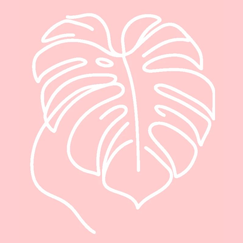 Monstera