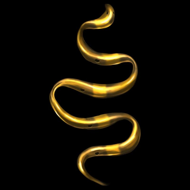 Bijoux Golden Snake