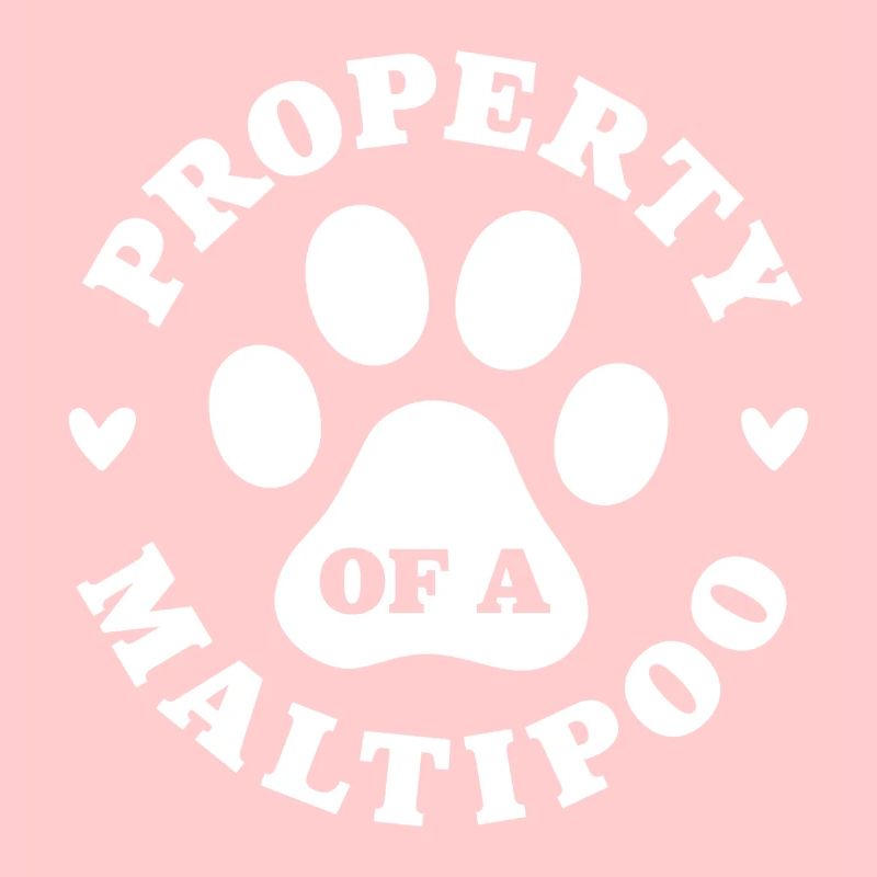 Eigentum eines Maltipoo