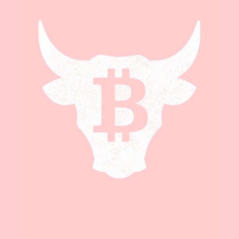 Bitcoin Bulle