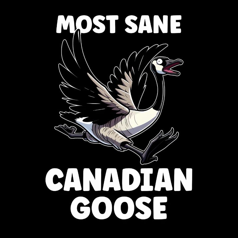 Drôle de mème d’oie canadienne